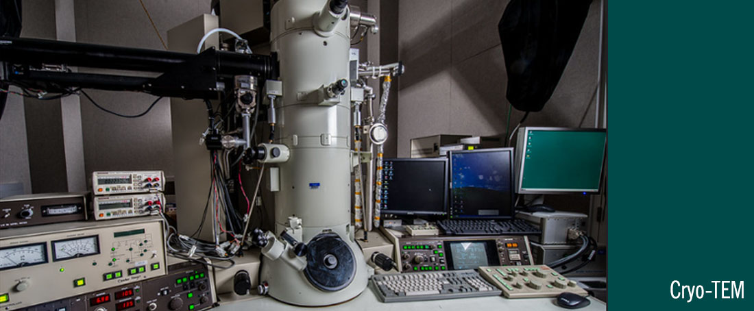 Cryo-TEM: Biological sample preparation technique