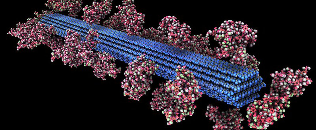 Nanotechnology for bioenergy production