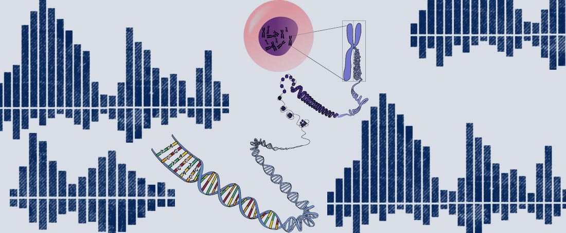 Inheritance of genes