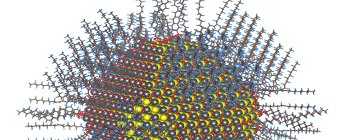 Need for detailed toxicological studies with nanomaterials