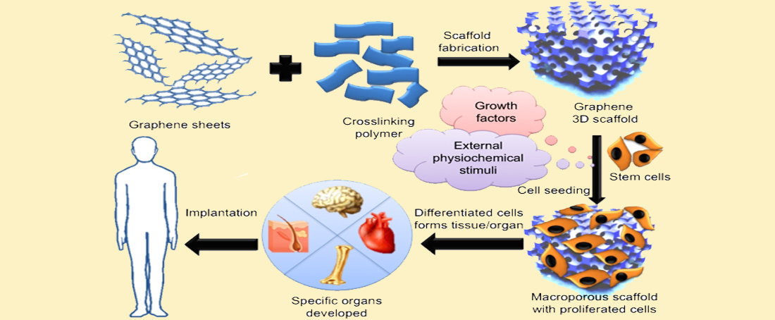 Nano-scaffolds: A tailor-made infrastructure for growing tissues