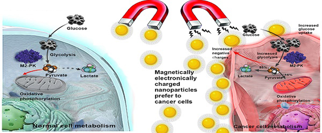 Nanotheranostics in cancer diagnosis and treatment