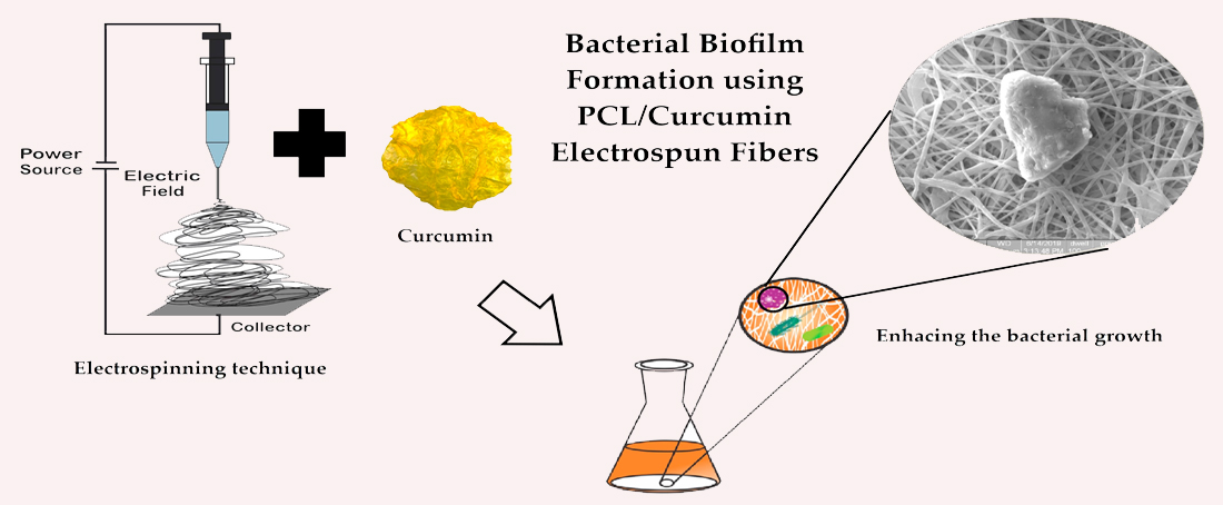 Inhibitory effects of nanocurcumin and curcumin on early oral biofilm formation