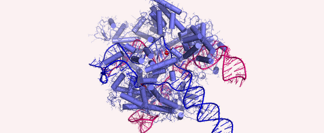 CRISPR-Cas9 technology