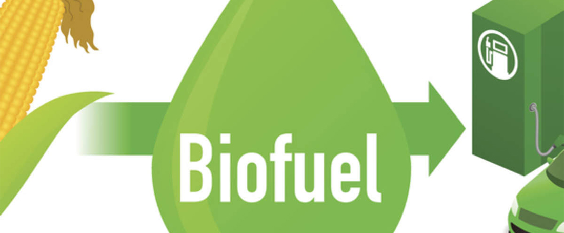 Biofuel production from agriculture-based waste