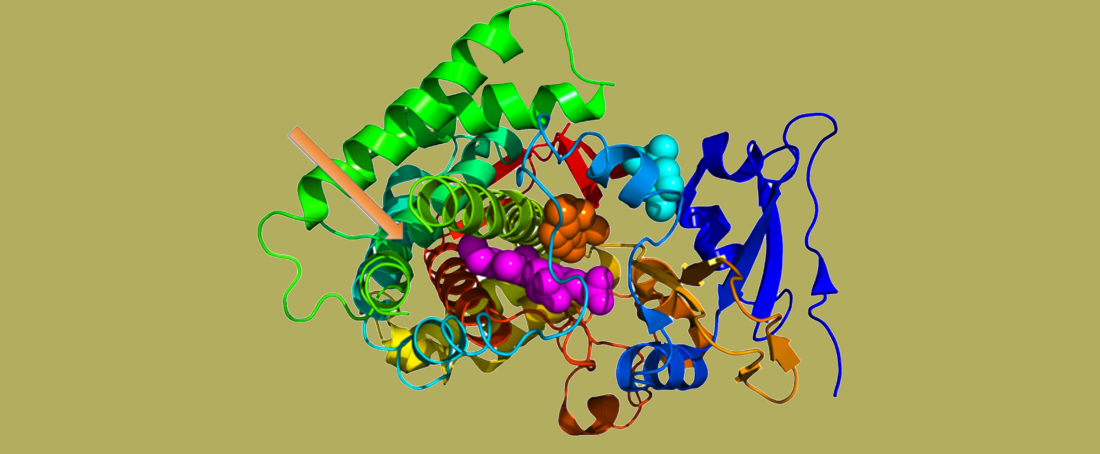 Moonlighting proteins and diseases associated with them