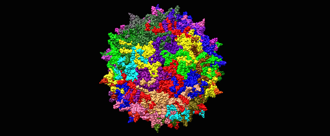 Development of virus vectors for gene therapy