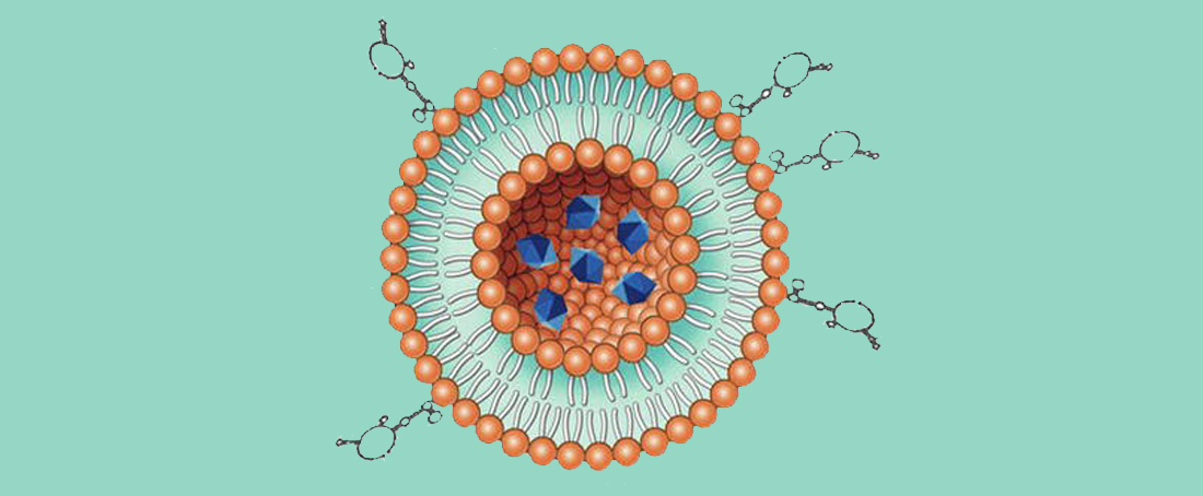 Aptamer-conjugated nanoparticles in drug delivery to target cancer cells