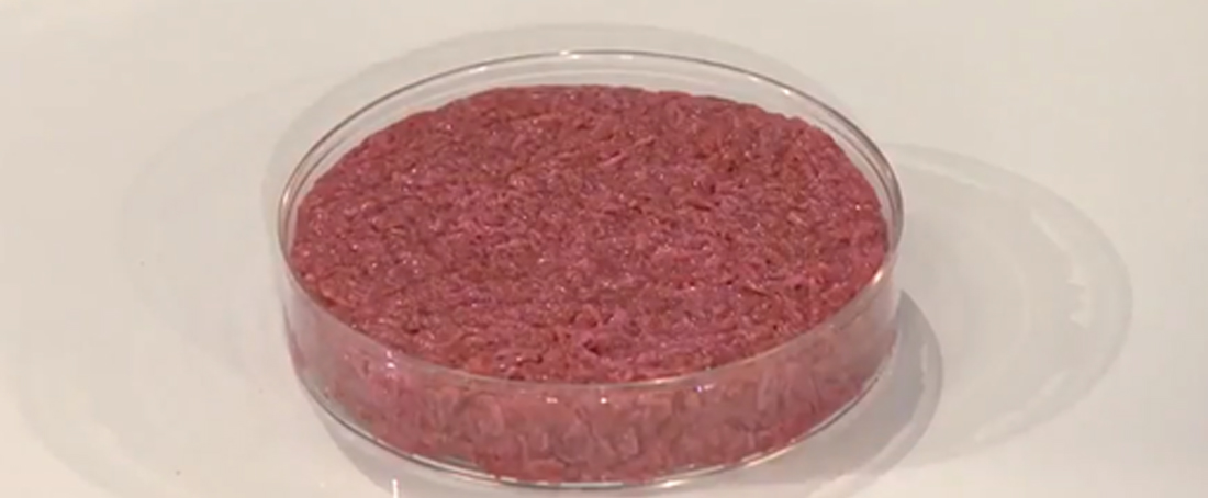 Cultured meat: An effectual and advantageous alternative to conventional meat