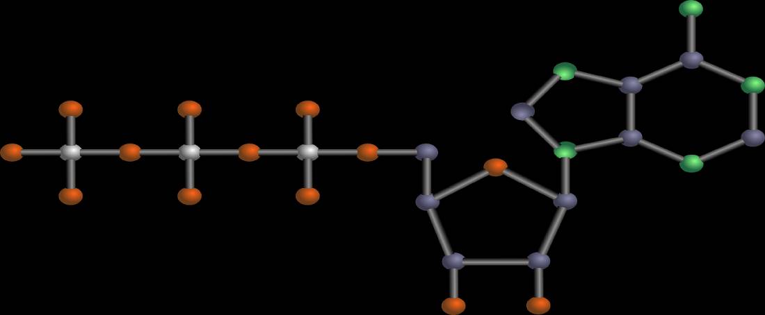 The story of DNAâ€™s electrostatic force