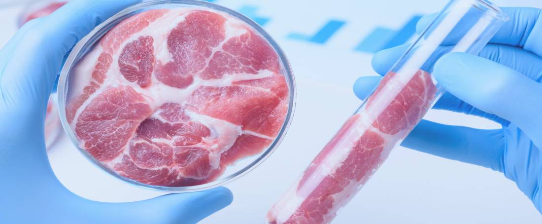 Could artificial meat compete with traditional meat?