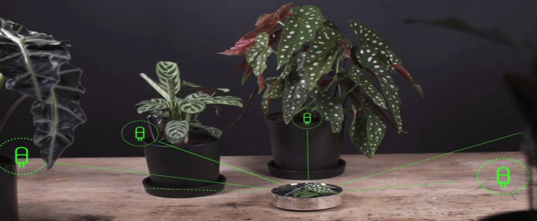 Smart sensors for plants