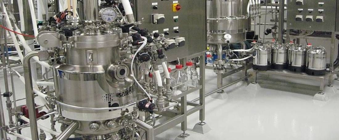 Consolidated bioprocessing for biofuel production