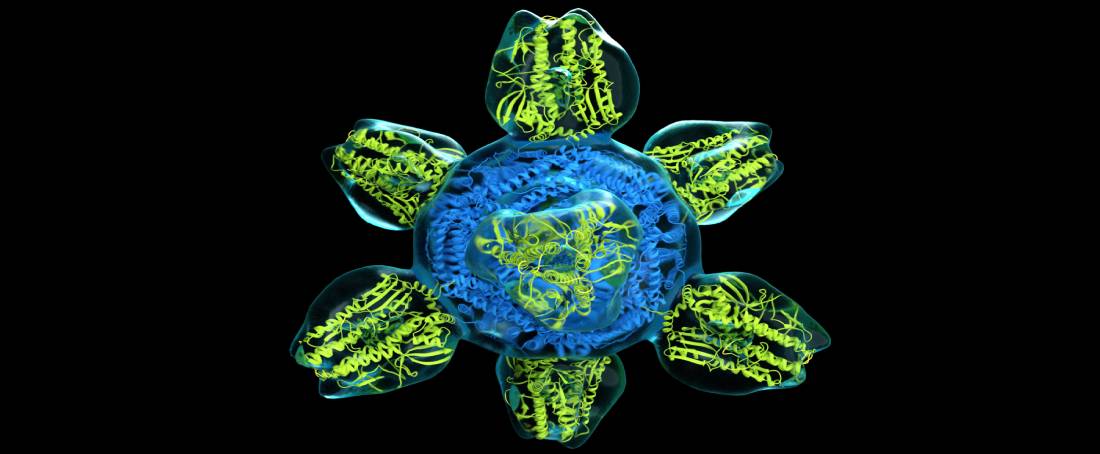 Protein nanoparticles as drug delivery carriers for cancer therapy