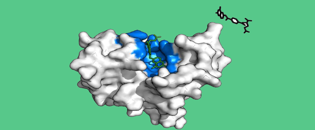 Fundamental uses of enzymes in industries