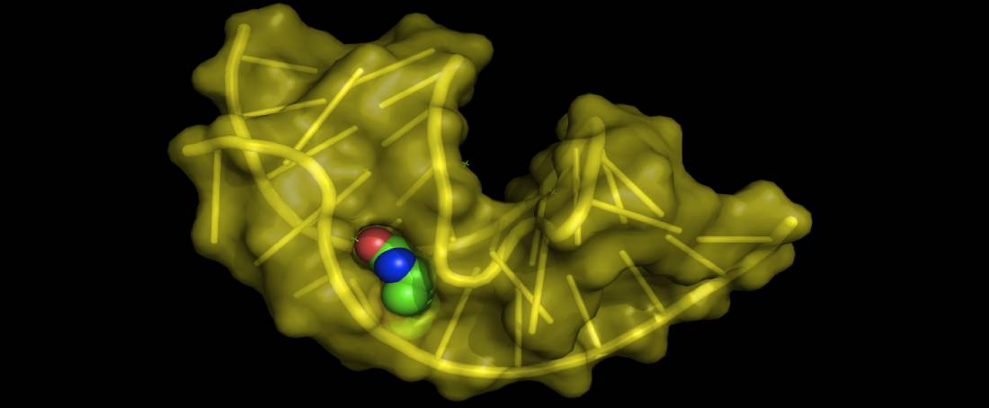 The current progress of RNA aptamers in therapeutics