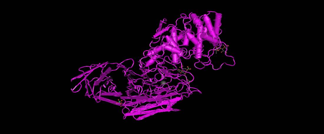  Heparinase: A promising target