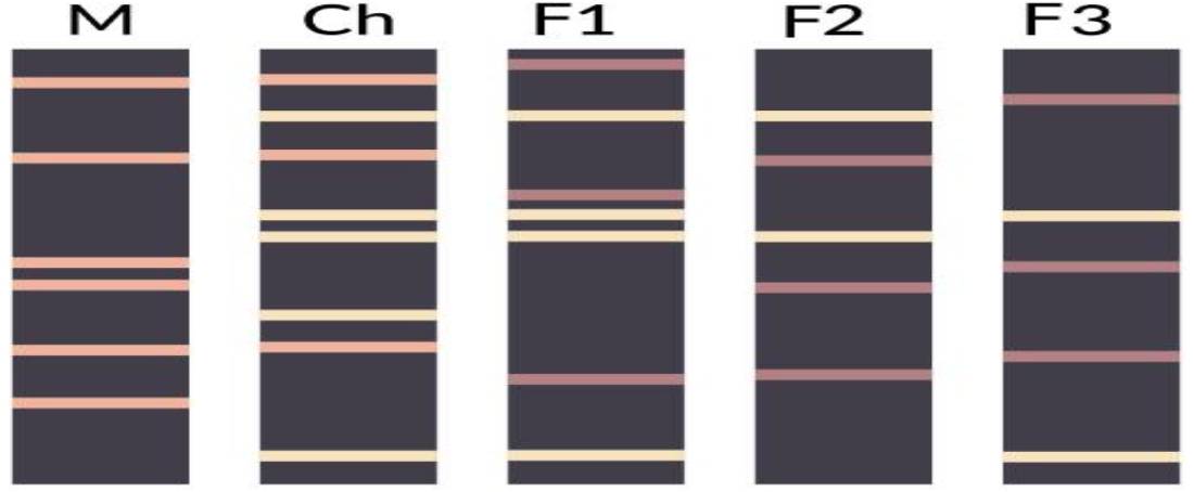 Ethical concerns in DNA analysis