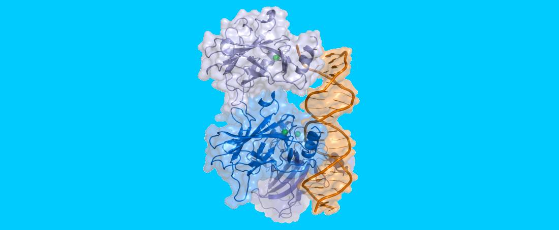 Understanding genetic mutations in cancer for gene mutation-based therapy