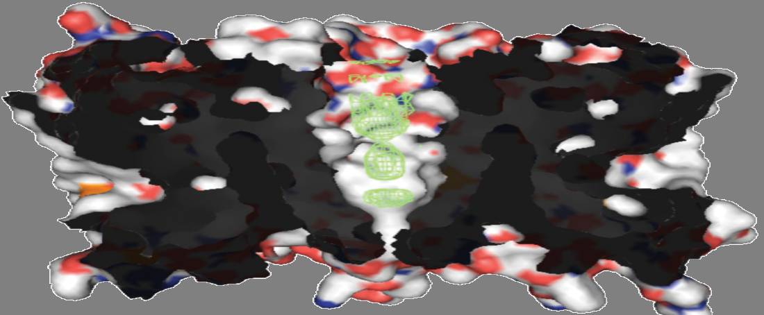 The correlation between aquaporins and tumours