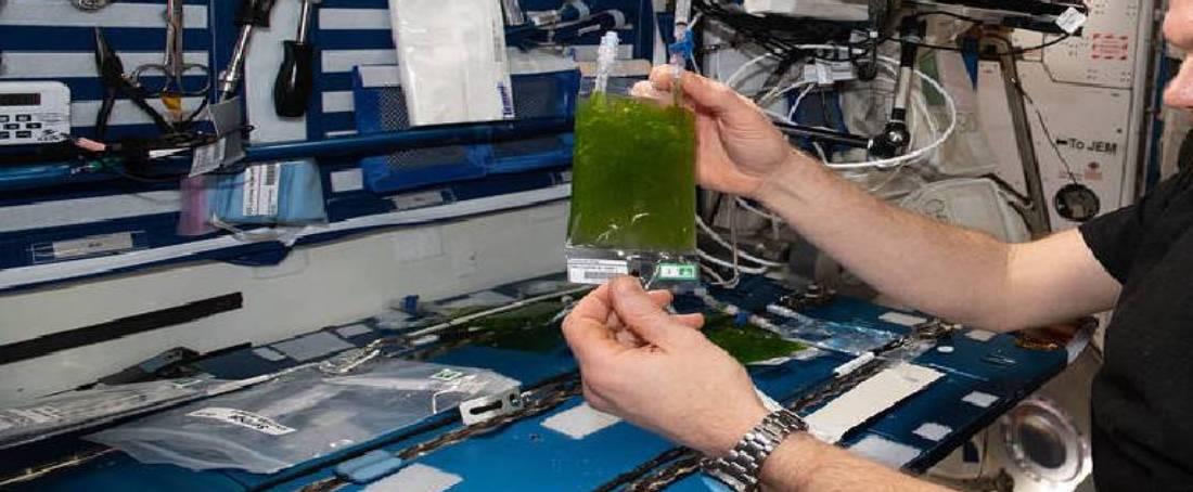 Photobioreactor: A better life support system for astronauts