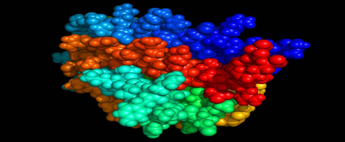 Human erythropoietin production in mammalian cells