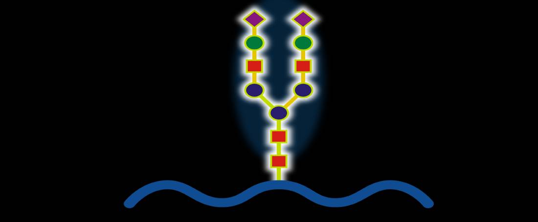 Glycoproteins in biopharma