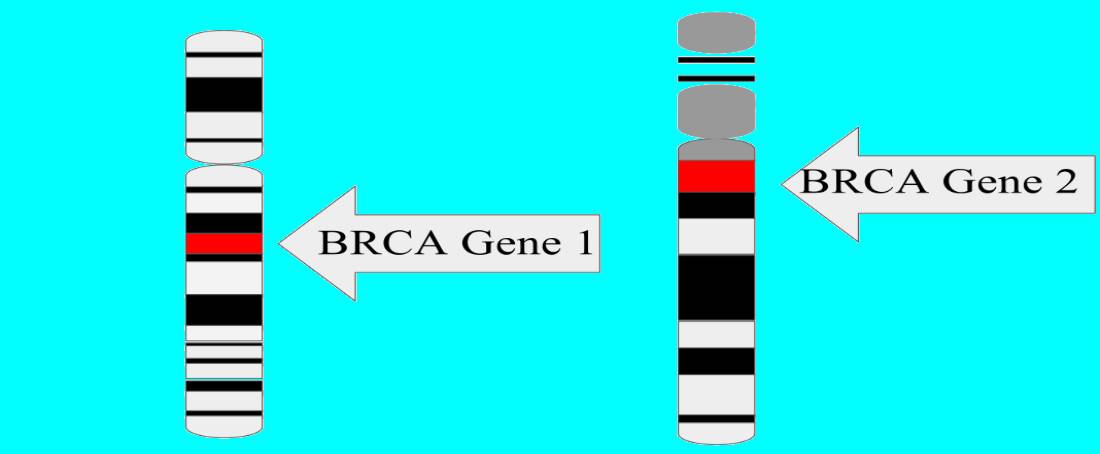 The genes of antagonistic pleiotropy