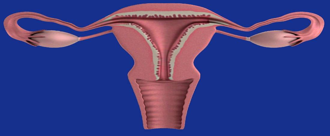 Bioengineered uterus: The future of assisted reproductive technology