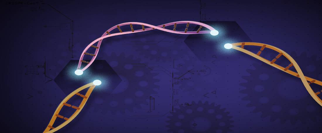 Gene therapy in cancer treatment