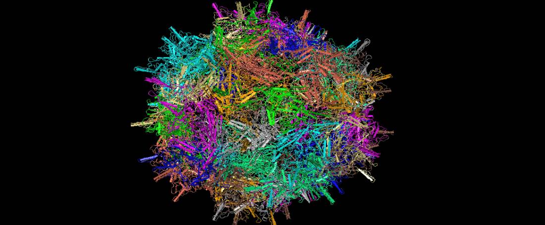 Gene therapy: Adeno-associated virus as a transduction vector