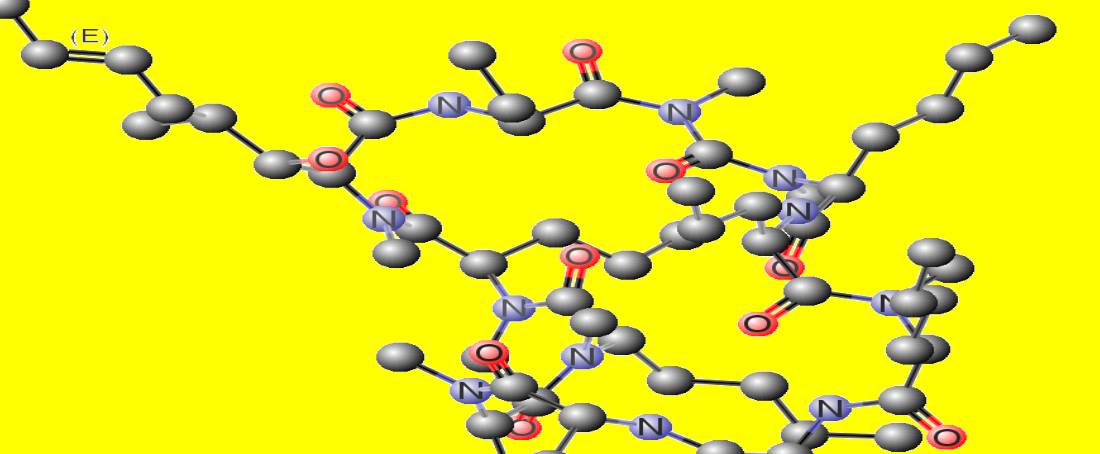 Production of anti-rejection drugs by the mould to control autoimmune disease