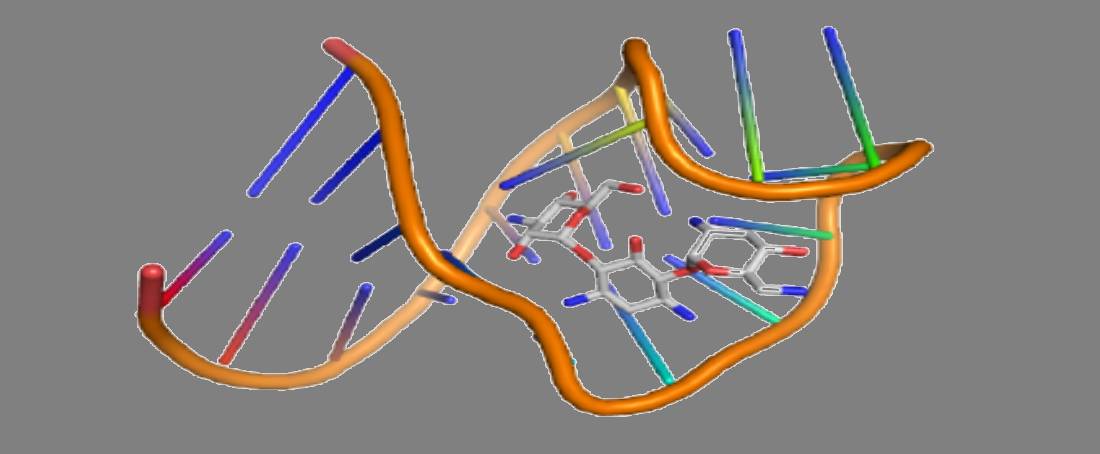 Aptamer nanobiosensors