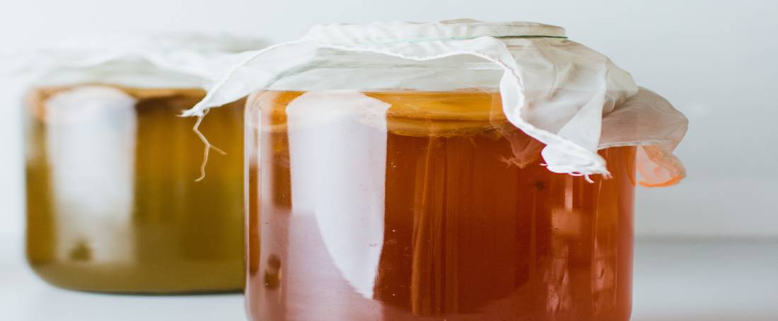 Kombucha tea and its health benefits 