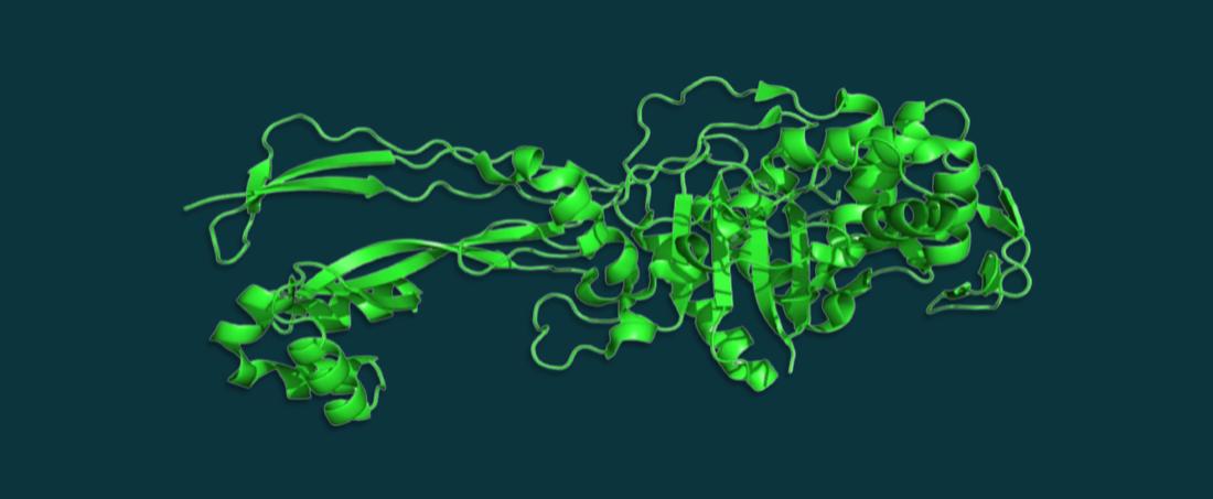 Screening of penicillin-binding protein inhibitors using high throughput method