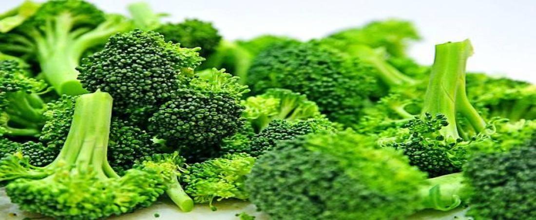 Broccoli: A potential treatment for cancer and diabetes