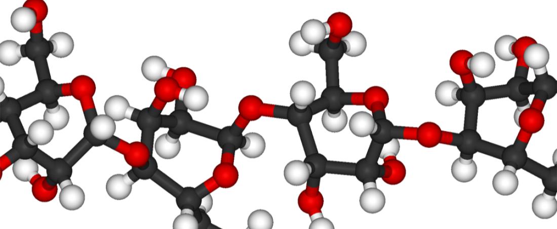 Polysaccharides from marine organisms as therapeutic agents