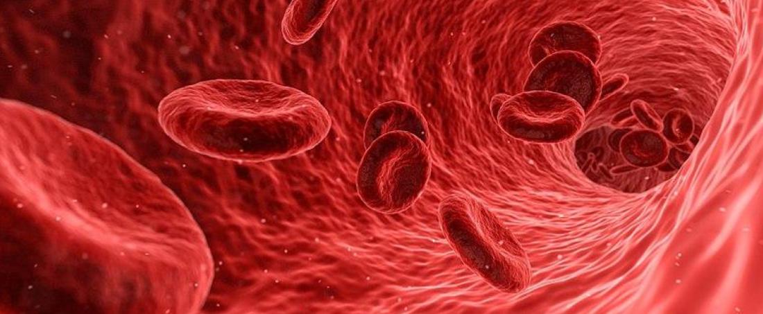 Artificial human erythrocytes from nanotechnology