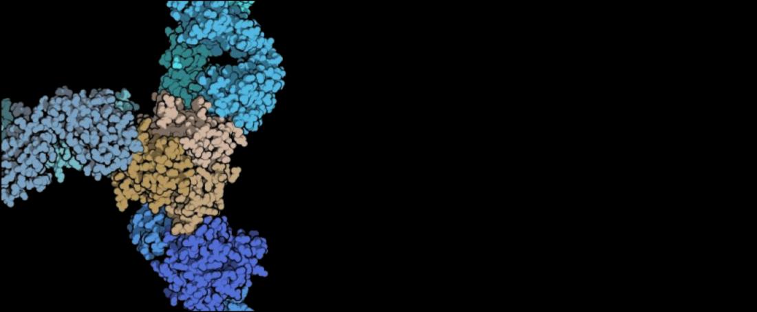 Monoclonal antibodies in cancer treatment