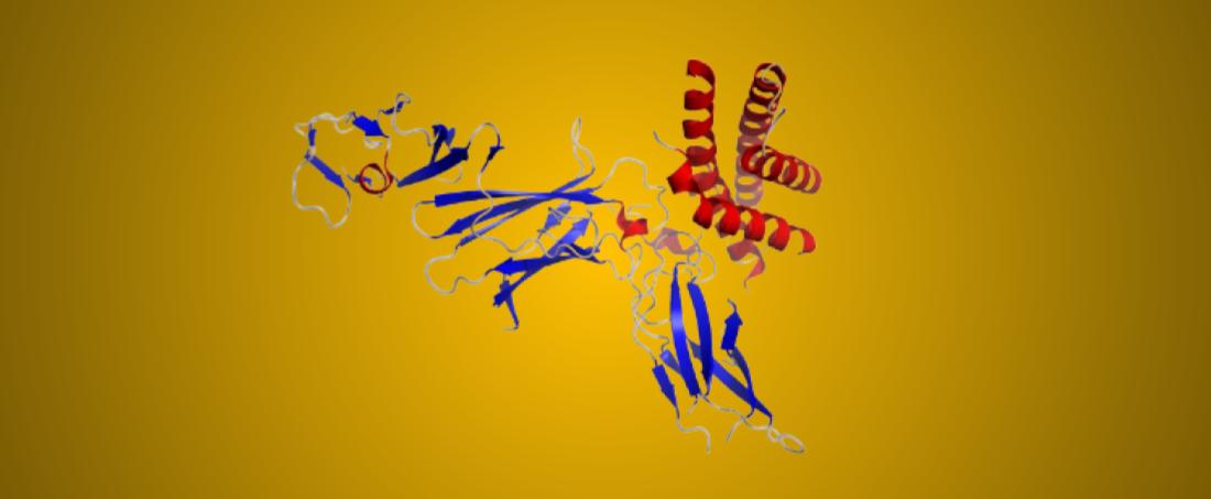 Interleukin-12 signalling and its effect on disease