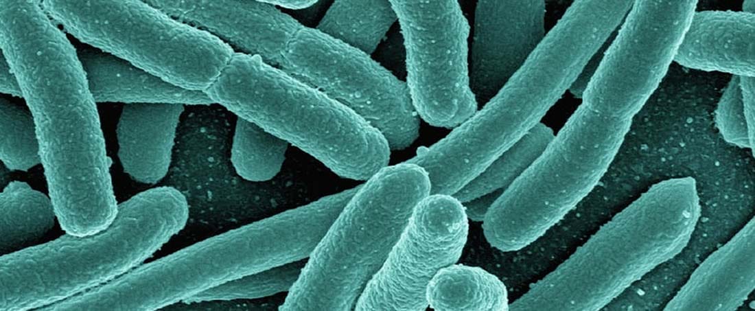 Targeting quorum sensing in bacterial pathogens: Next generation antibiotics