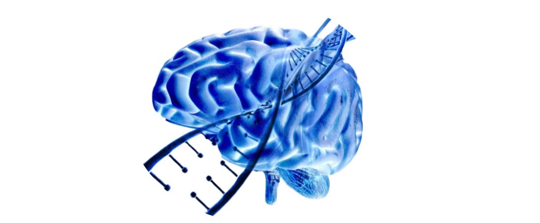 Treatment of Alzheimer disease by using antisense technology
