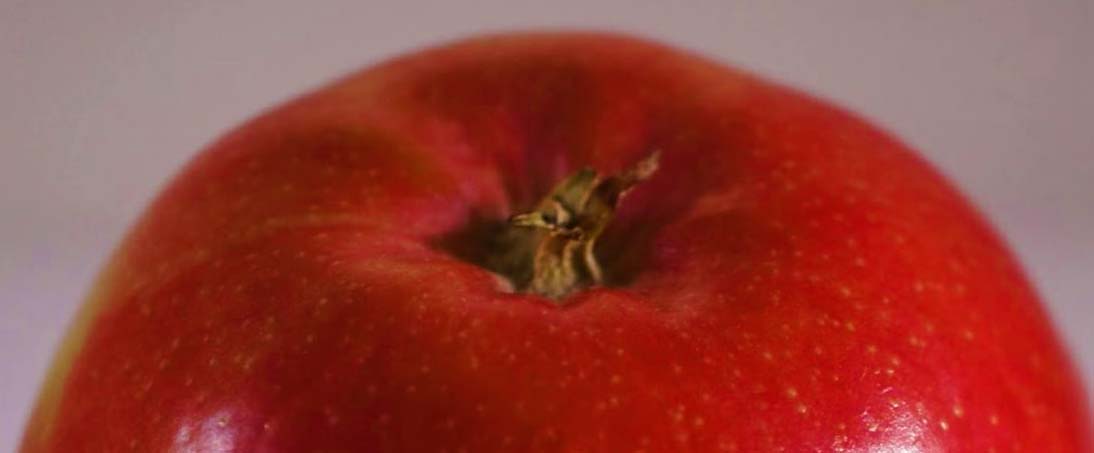 Essential oils-incorporated edible coating on food