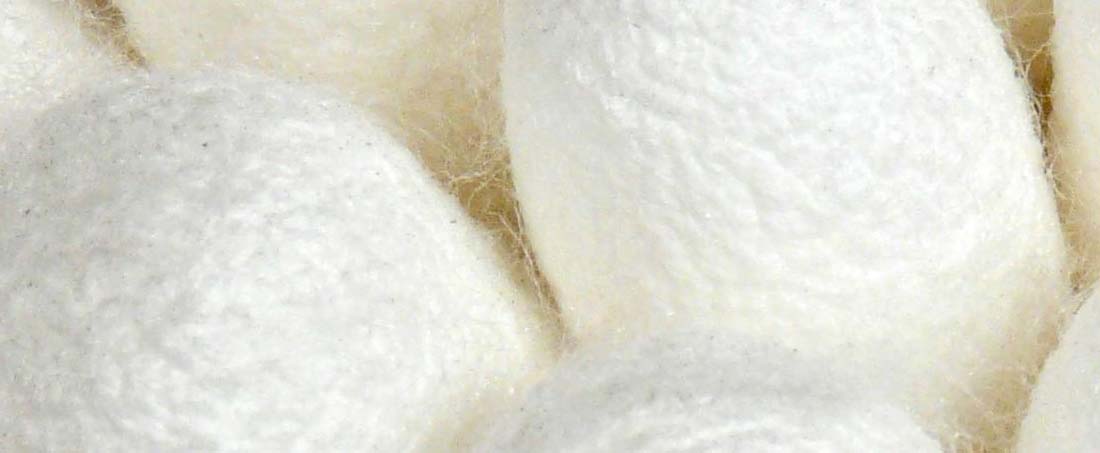 Silk sericin based hydrogels for rapid wound healing