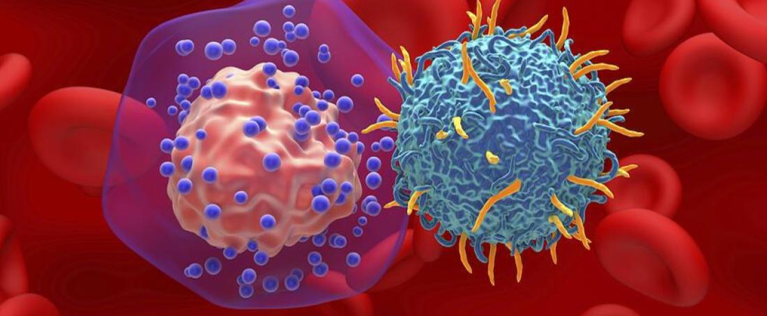 Prevalence of aggressive triple-negative breast cancer and the biology of the disease